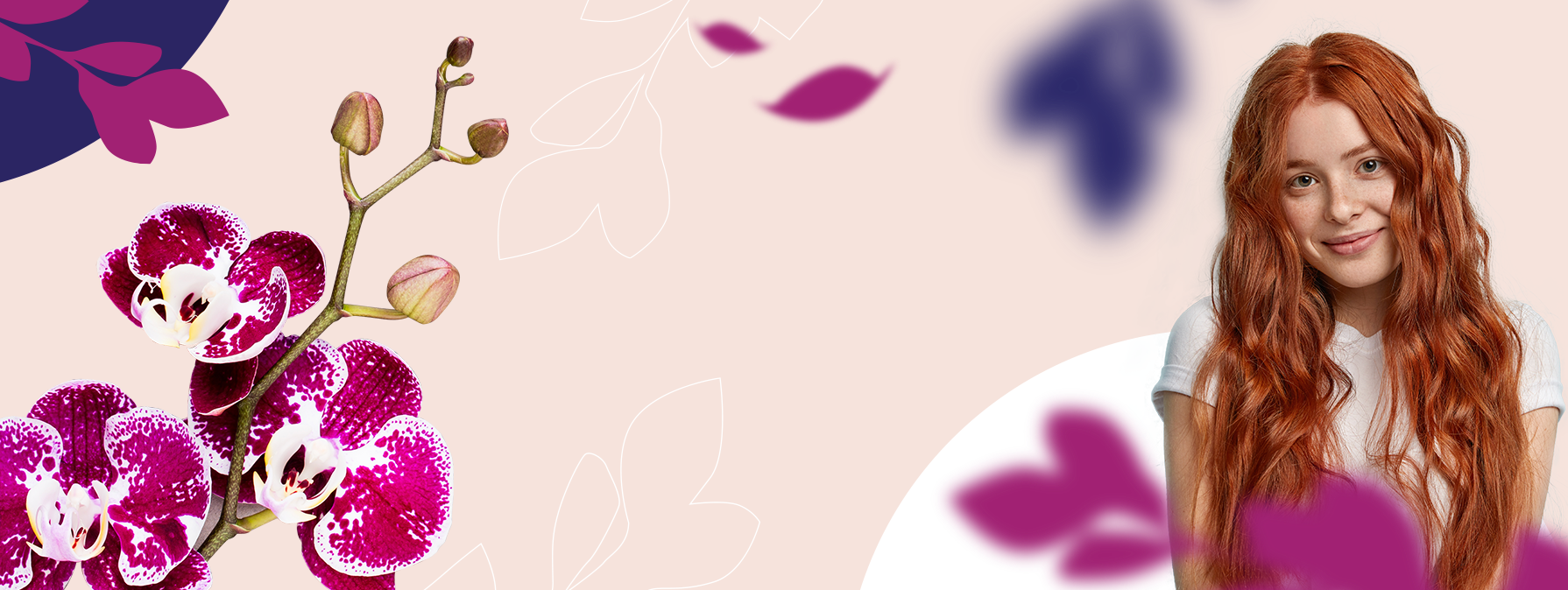 Home Header Douceur